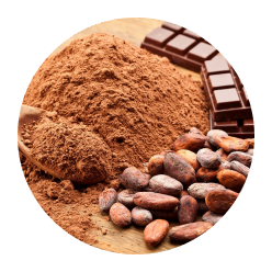 Cocoa powder, chocolate blocks, and cocoa beans arranged on a surface.