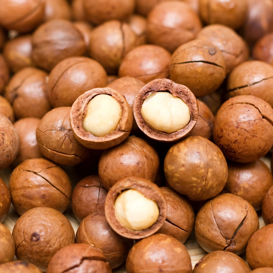 Close-up of macadamia nuts, some cracked open to reveal the kernels.