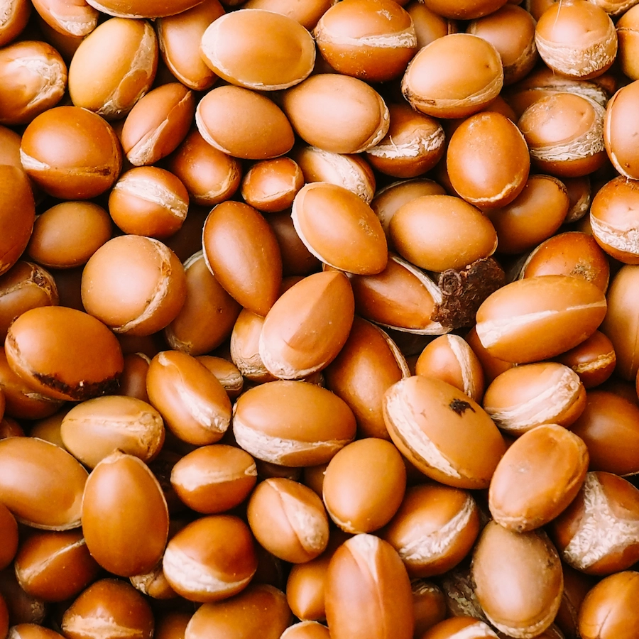 Close-up of a pile of brown seeds with smooth surfaces.