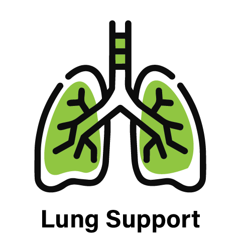A graphic icon of a pair of lungs with the text 'Lung Support' below it.