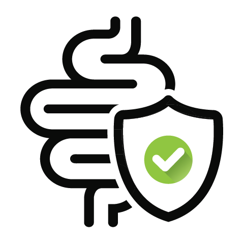 A black line icon of an intestine with a shield and a green checkmark.