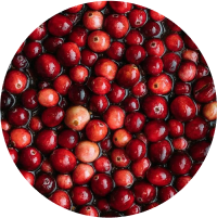 A circular arrangement of fresh red cranberries.