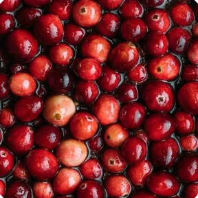 A close-up overhead shot of many fresh, red cranberries floating in a dark liquid.