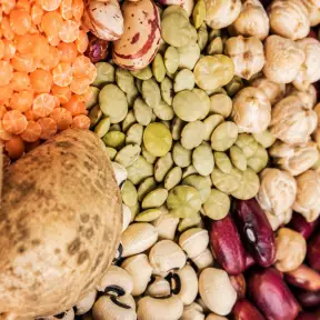 A close-up overhead shot of an assortment of colorful dried beans, lentils, and peas.