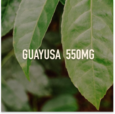 Close-up of green leaves with text 'Guayusa 550mg' overlaid.