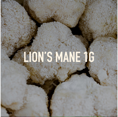 Close-up of Lion's Mane mushrooms with text 'LION'S MANE 1G.'