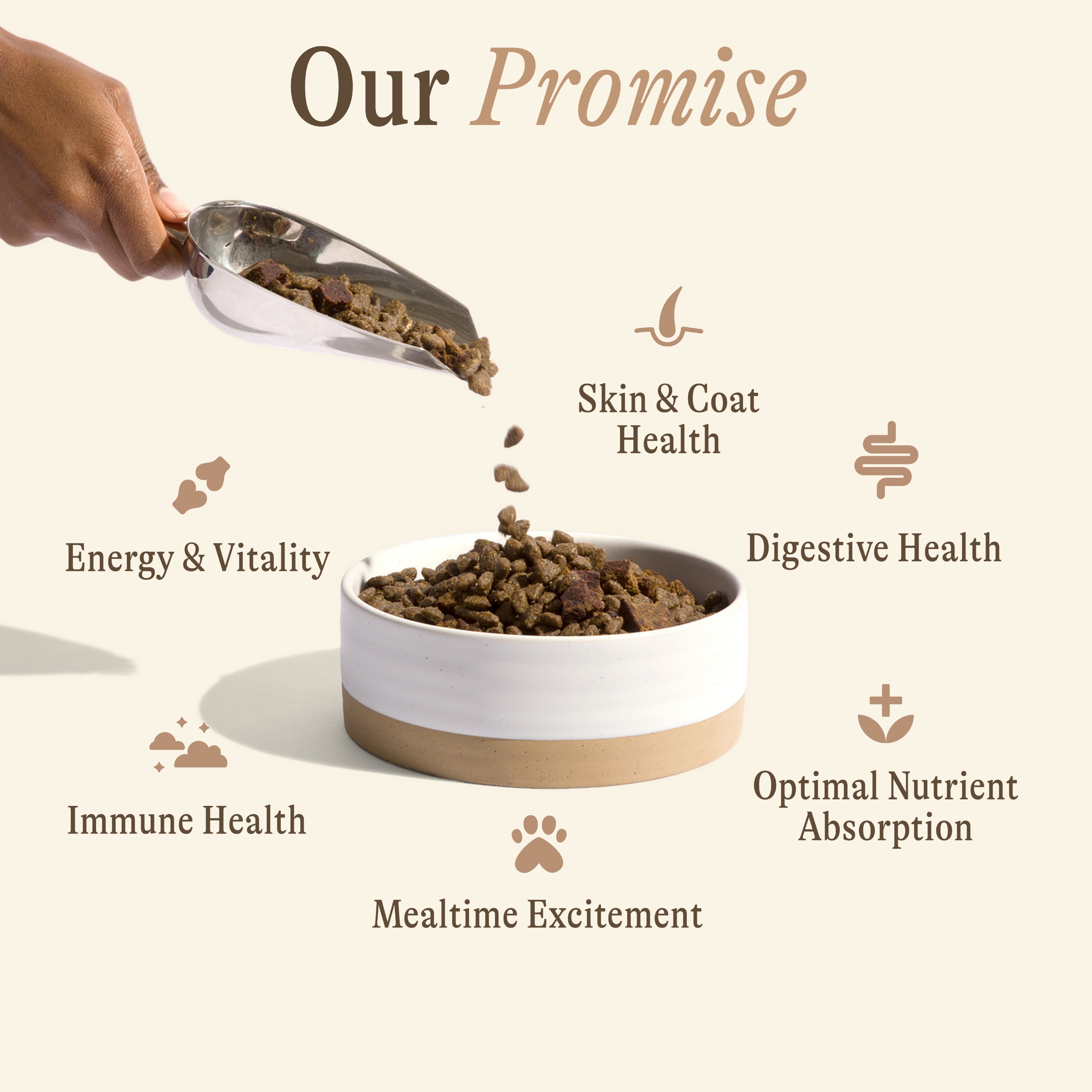 An infographic showing dog food being scooped into a bowl, surrounded by icons and text listing its benefits.