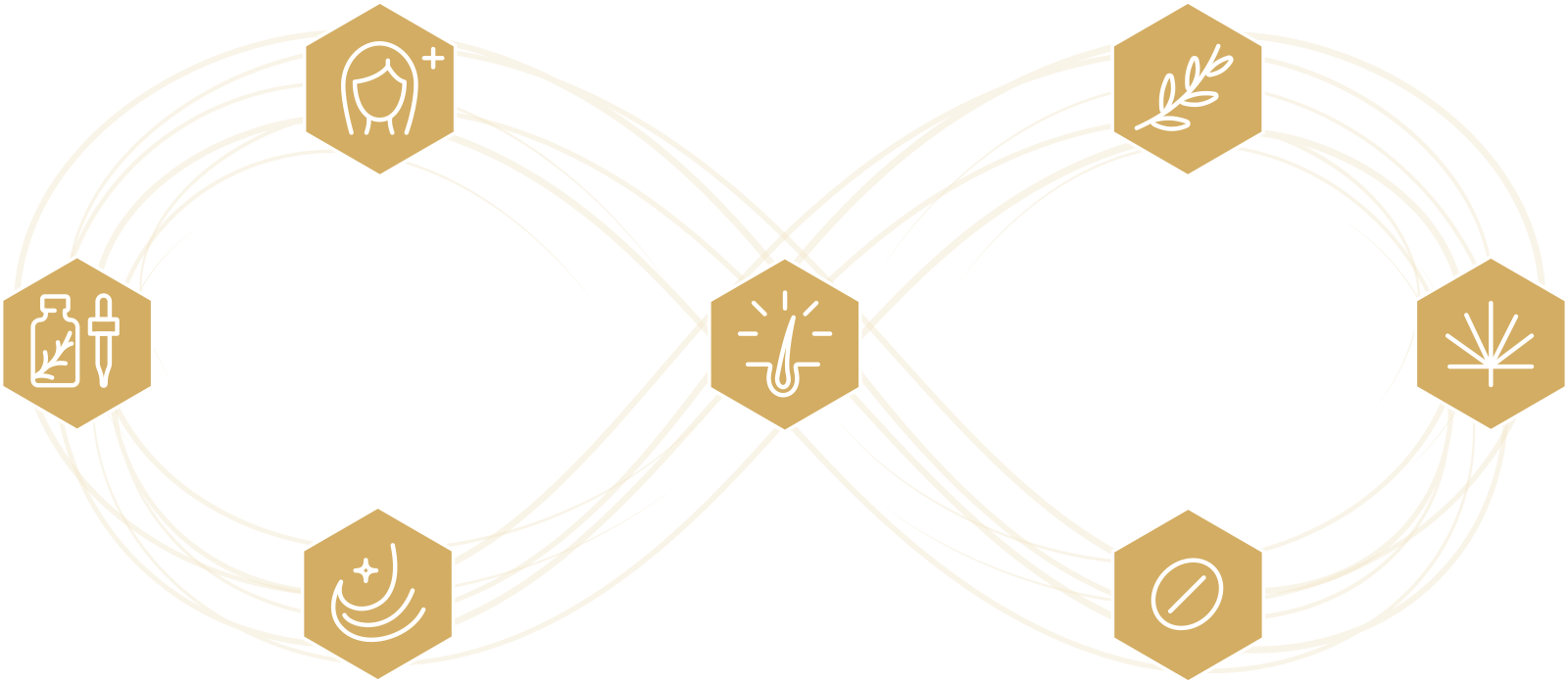 An infinity loop with icons representing the ingredients of the VitaGRO Complex