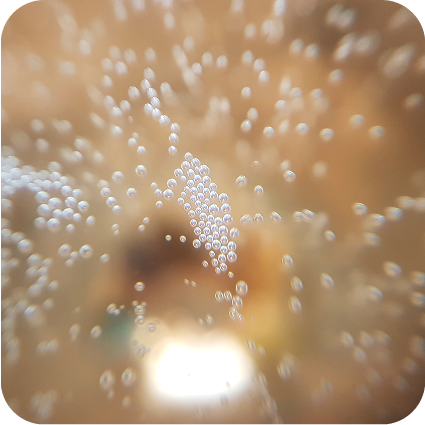 Close-up of bubbles in a liquid with a blurred background.