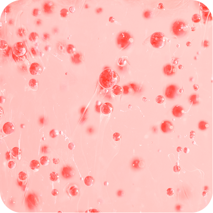 Close-up of red bubbles suspended in a pink gel-like substance.