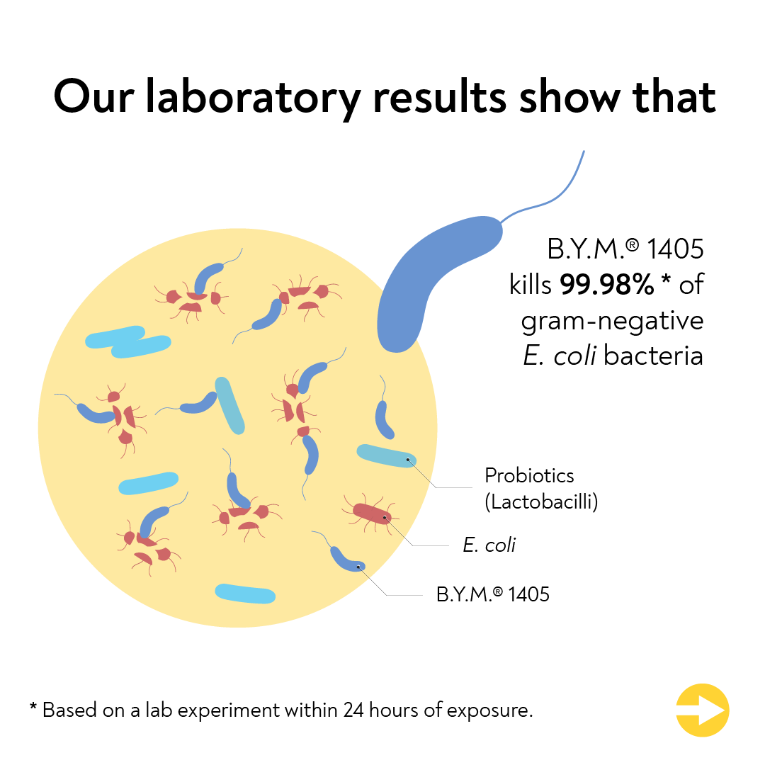 bdellovibrio attacking ecoli