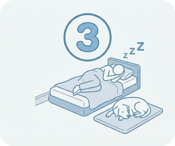 Illustration of a person sleeping in a bed and a dog sleeping on the floor, under a number 3.