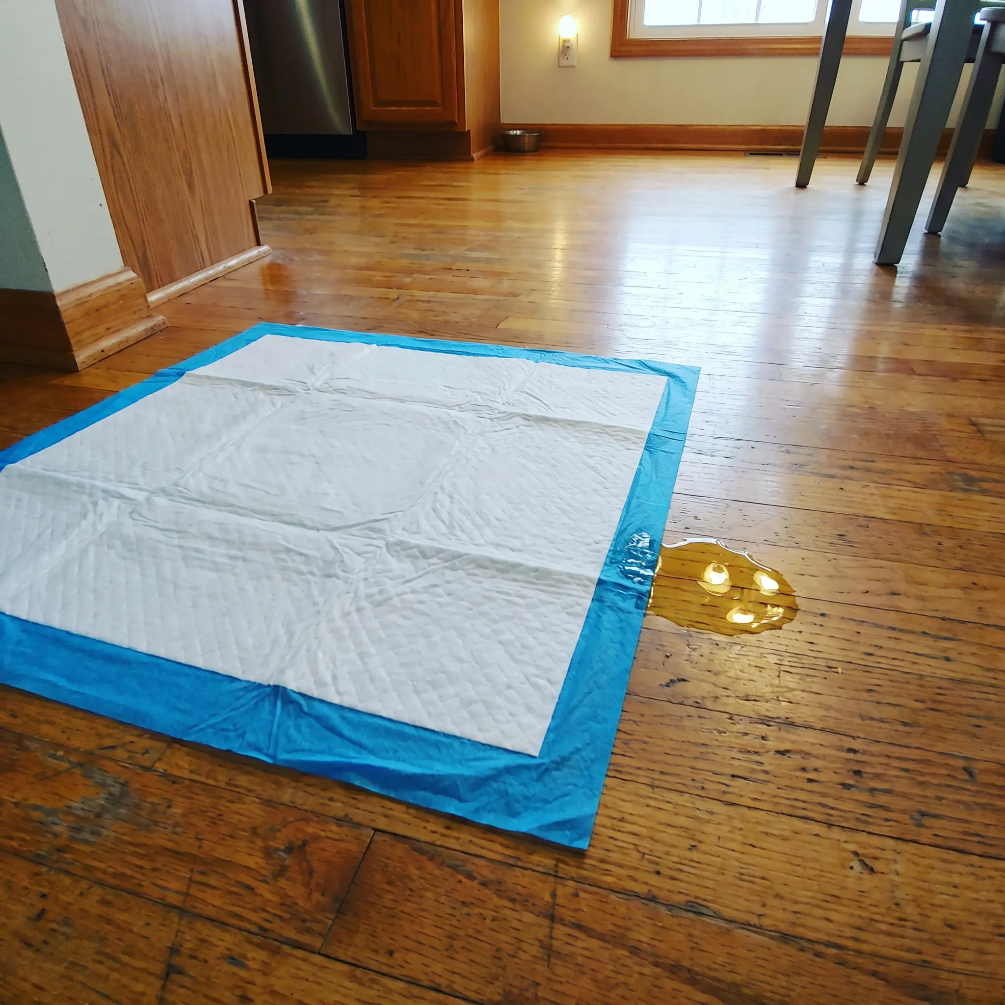 A puppy training pad on a hardwood floor with a puddle of urine next to it.