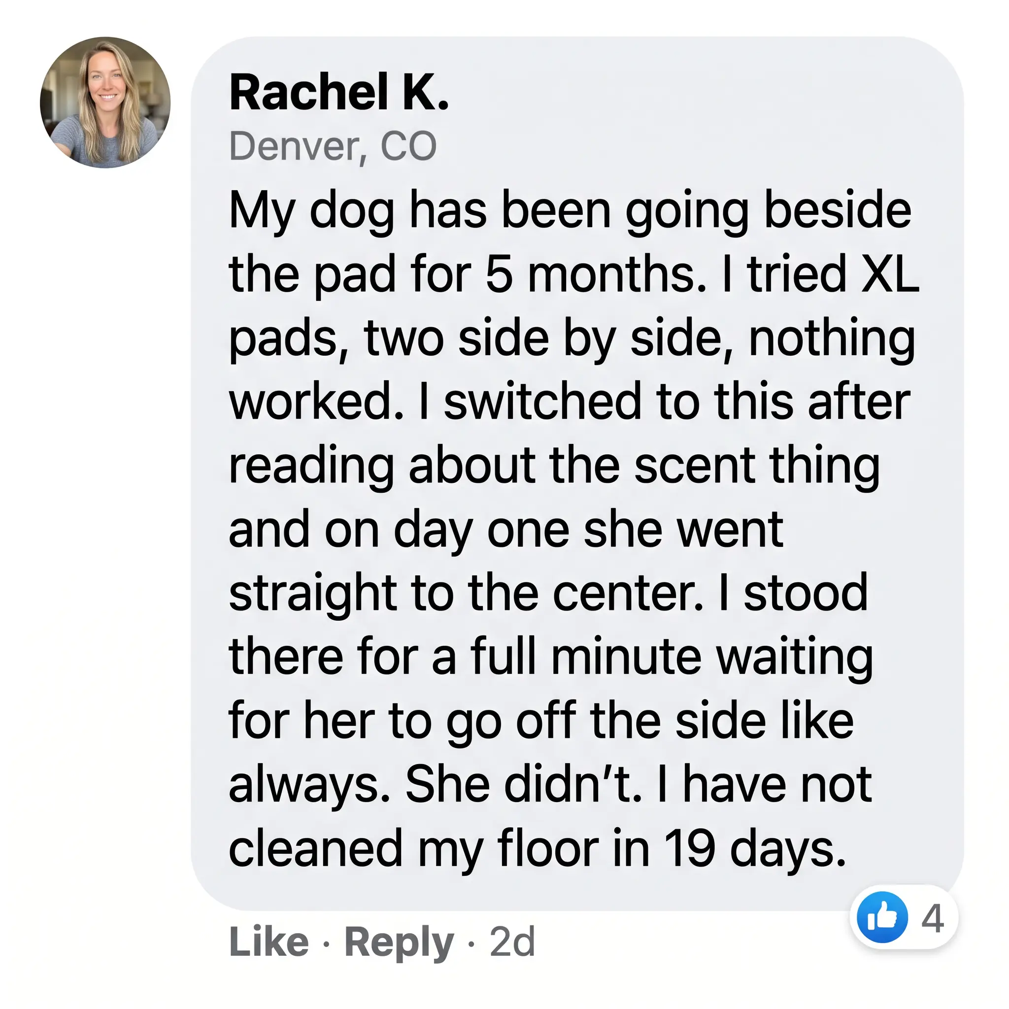 A screenshot of a positive customer review from Rachel K. about a dog training product.