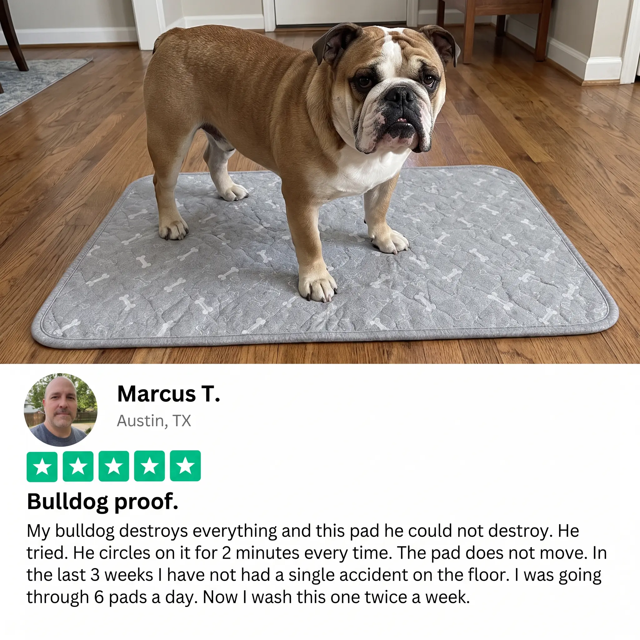 A brown and white bulldog stands on a grey, bone-patterned pet pad with a customer review below.