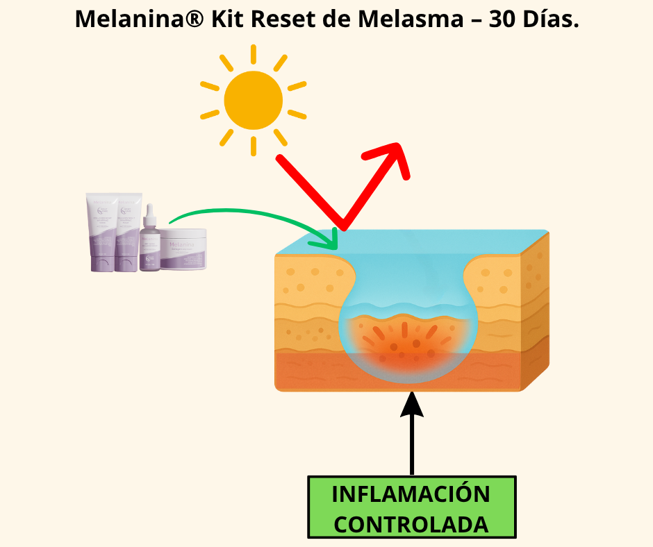 Diagram showing skincare products and skin layers with sun and inflammation control arrows.
