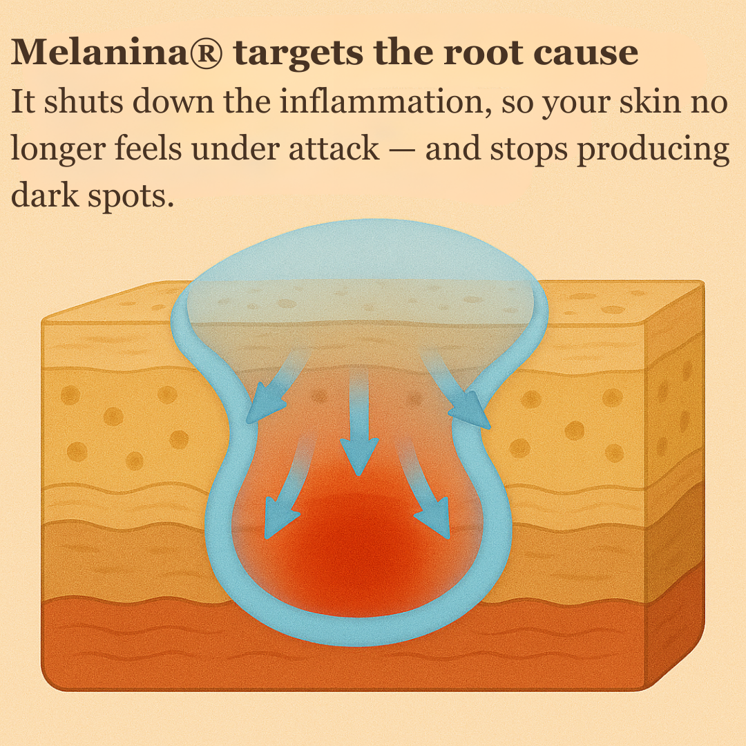 Illustration of skin layers with arrows indicating inflammation reduction.