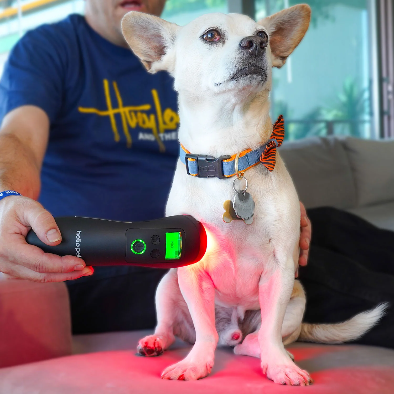 Heliopet handheld red light therapy device with green status display, vet's hand holding unit