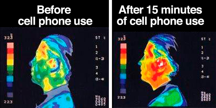 Thermal images showing heat differences on a head before and after cell phone use.
