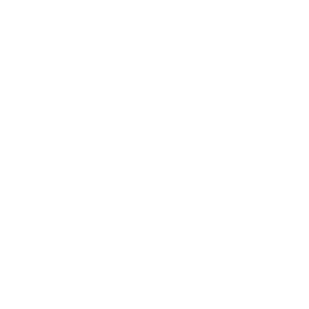 Logo of Special Needs Network Inc. with the word 'TOGETHER' below.