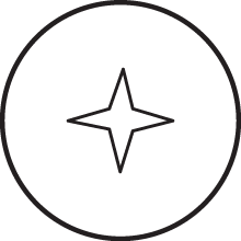 A black outline of a four-pointed star inside a circle.