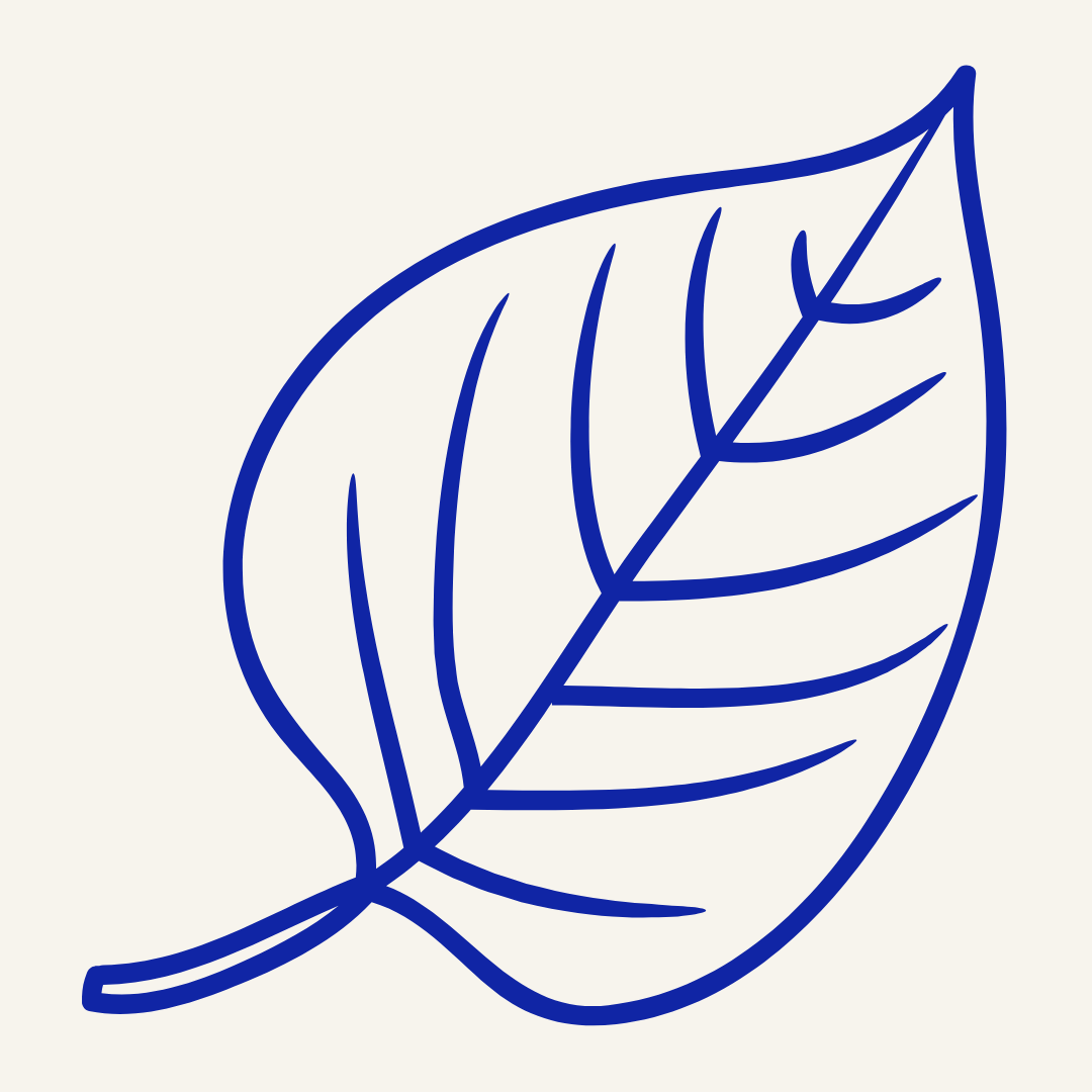 Simple blue line drawing of a leaf on a white background.