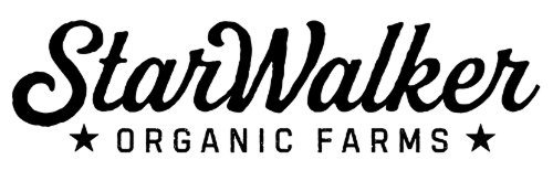 Black and white line art of a person wearing a suit and tie.