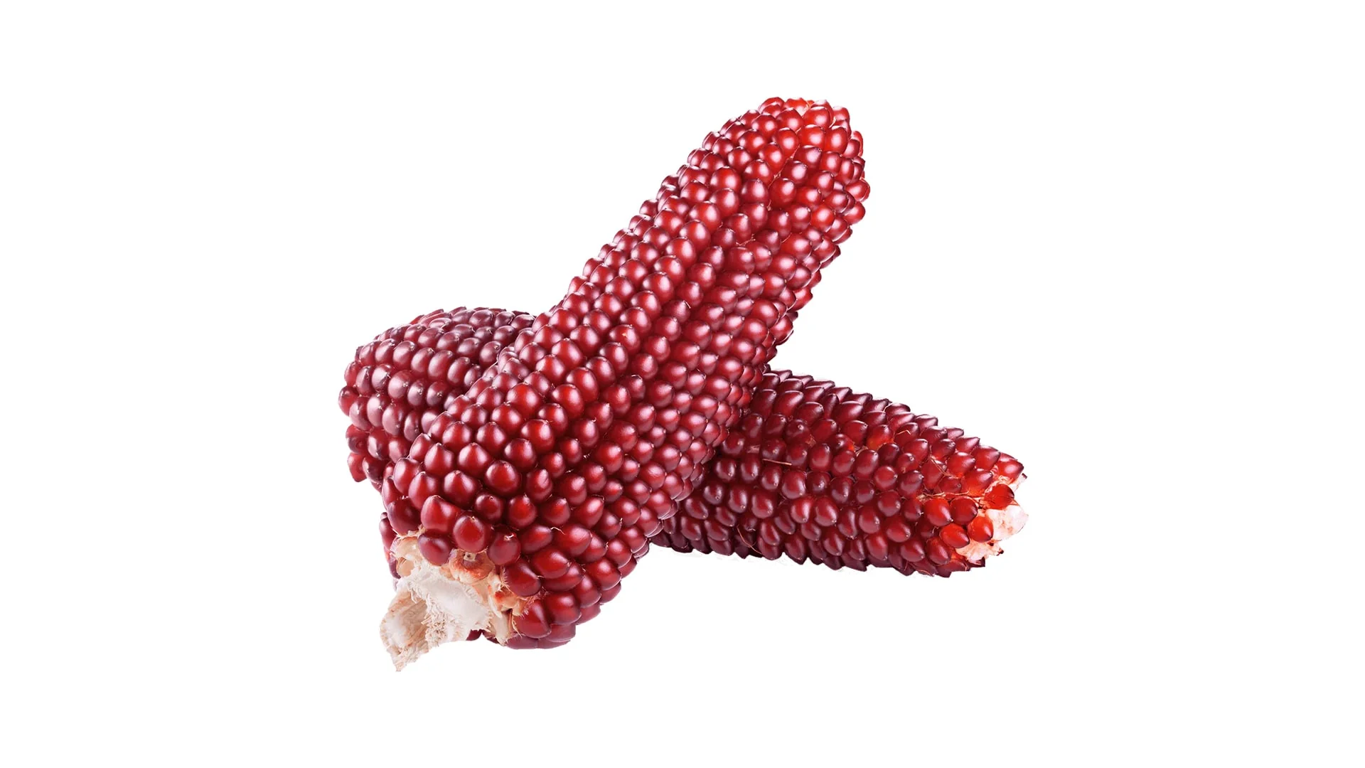 Three red corn cobs arranged on a white background.