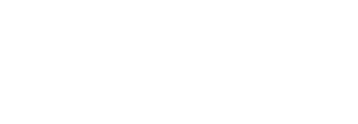 White 'V' in a circle with 'Soin Vegan' text on black background.