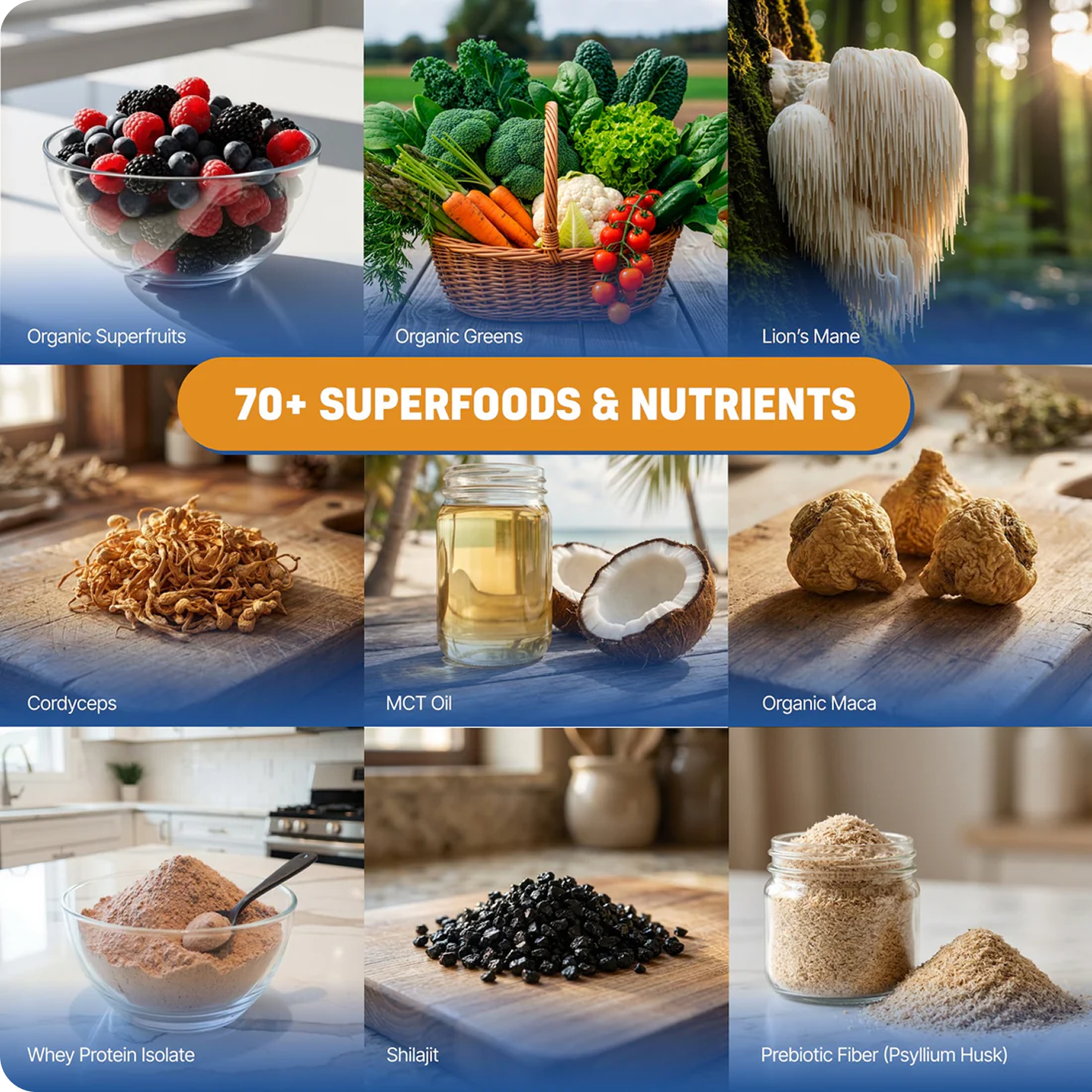 A collage of nine images showing various superfoods and nutrients like berries, greens, mushrooms, oils, and powders.