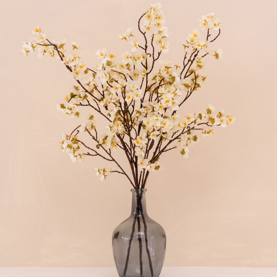 White flowers in a black vase against a neutral background.