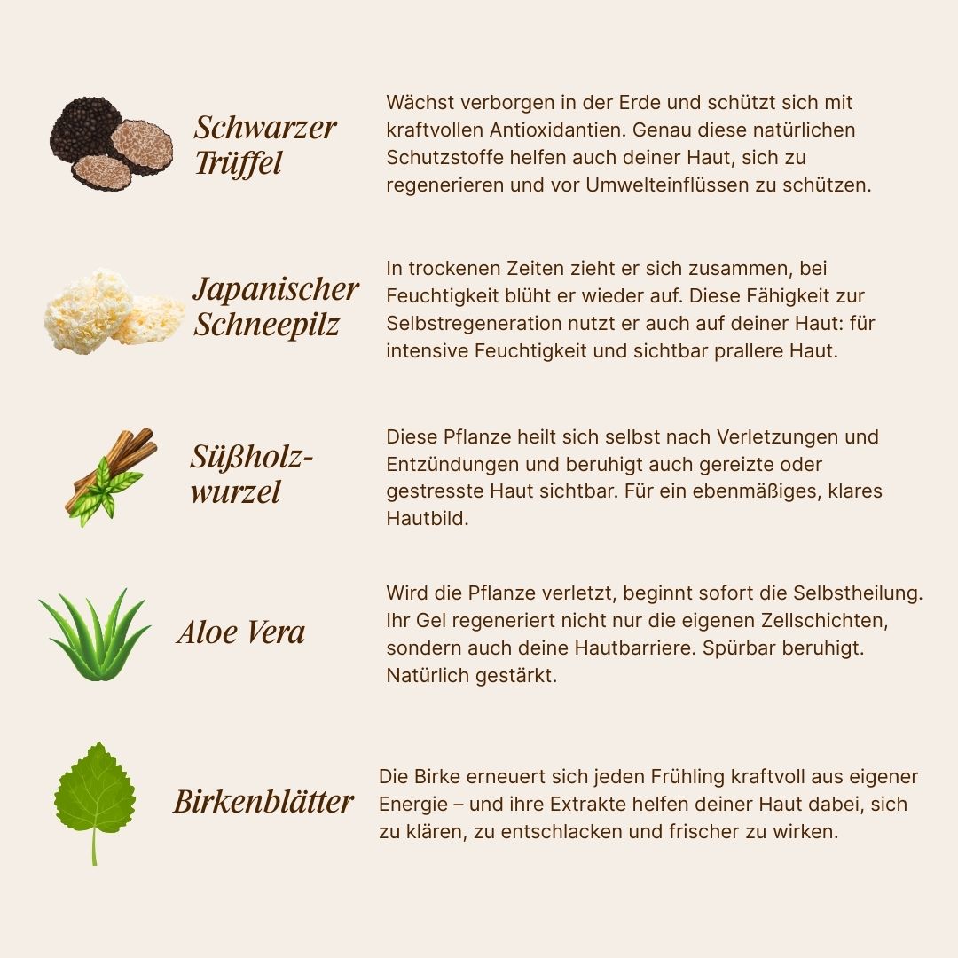 Illustrations and descriptions of natural ingredients in German, including truffle, snow fungus, licorice root, aloe vera, birch leaves.