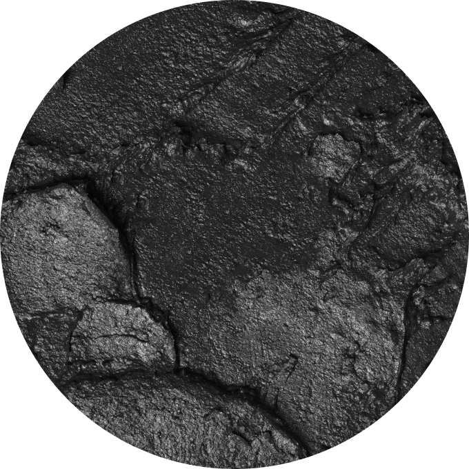 Close-up of a textured, dark, rocky surface.