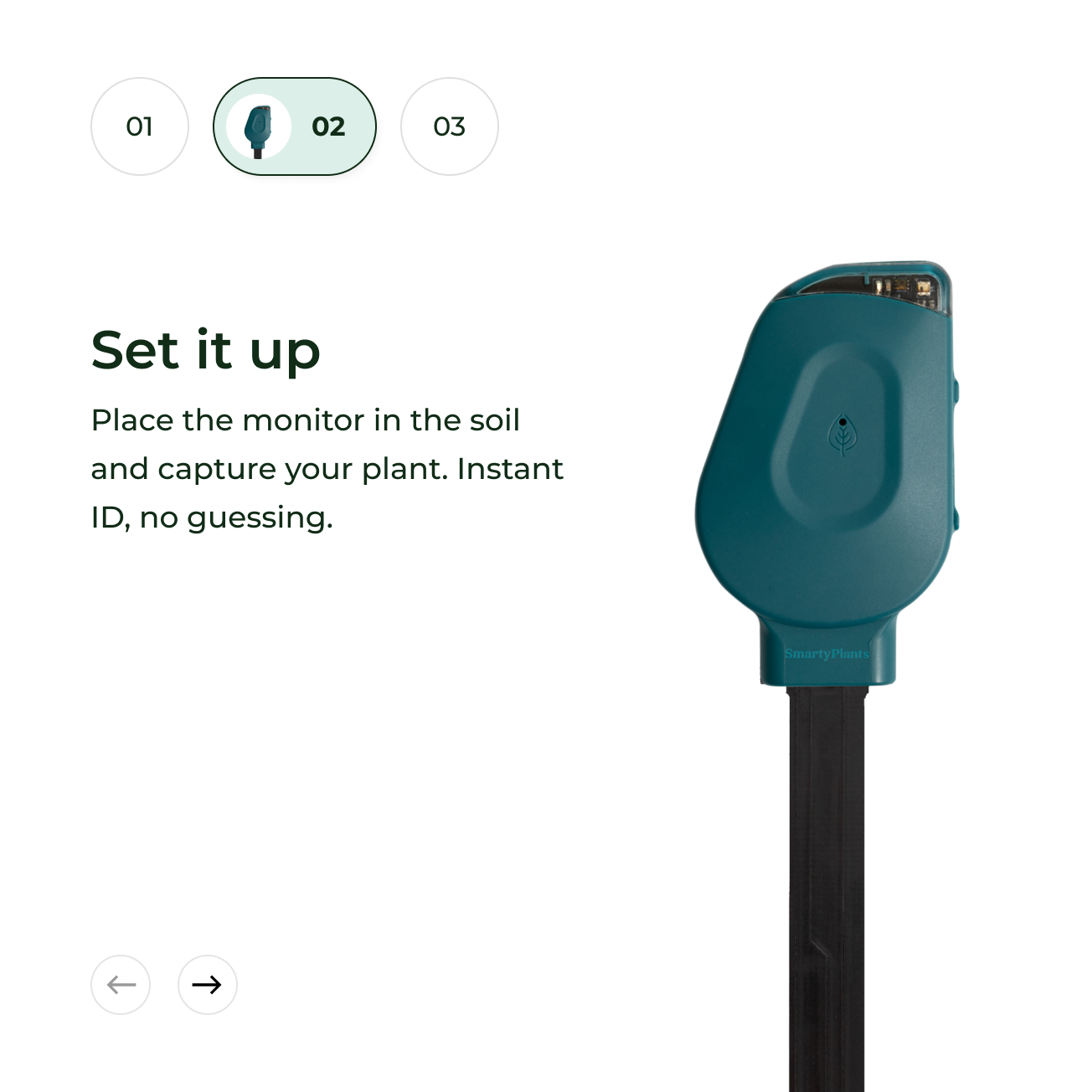 An infographic showing step two of how to set up the teal SmartyPlant soil monitor.