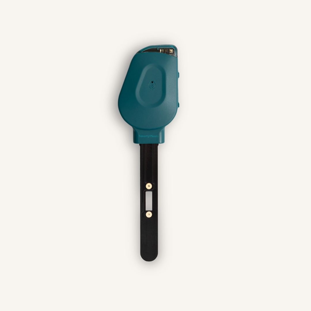 A teal and black electronic plant sensor with a soil probe against a plain background.