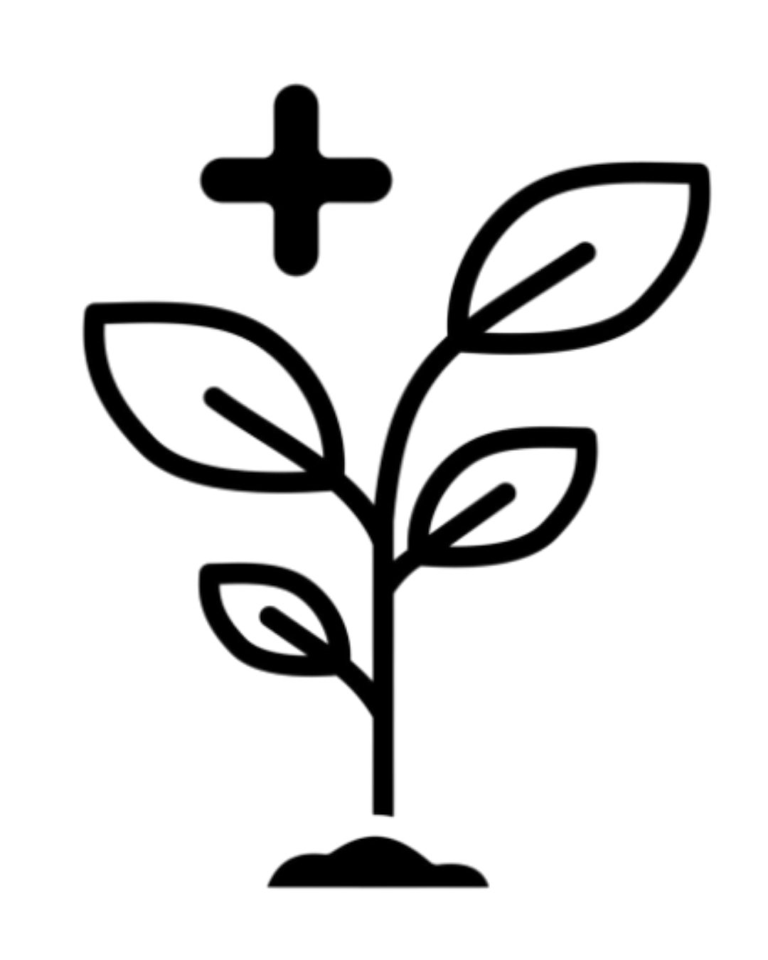 A line art icon of a small plant with a plus sign floating above it.