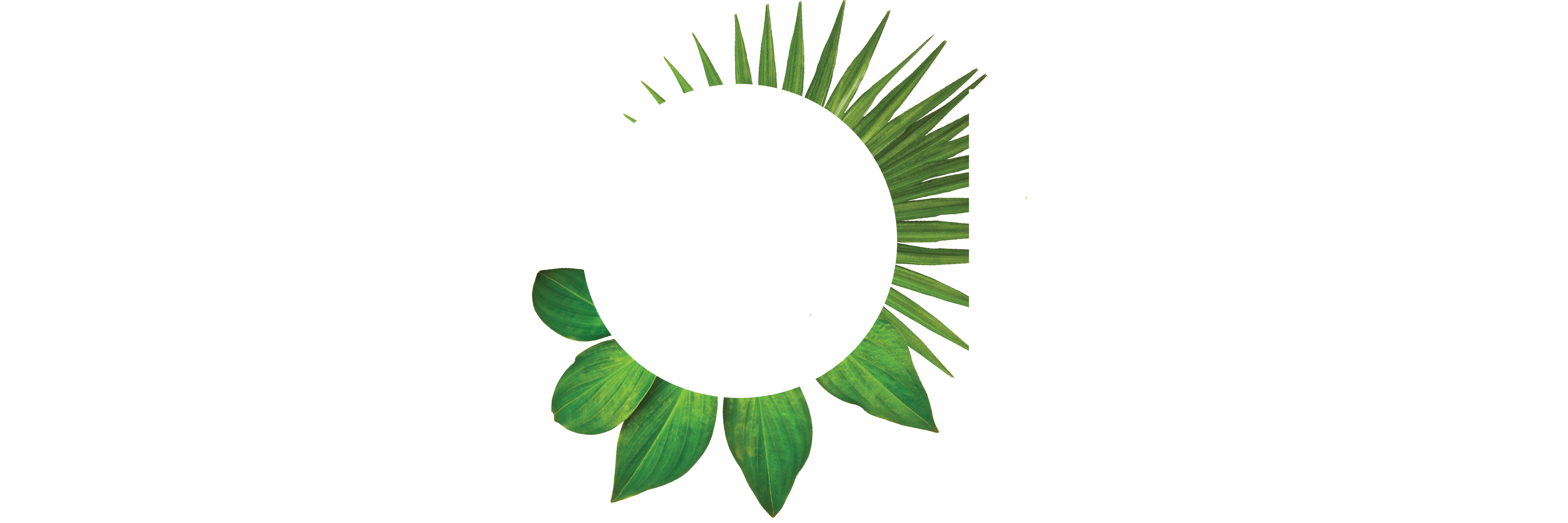 The word 'ALOHA' with green leaves forming the letter 'O'.