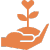 Icon of a hand holding a small plant with leaves.