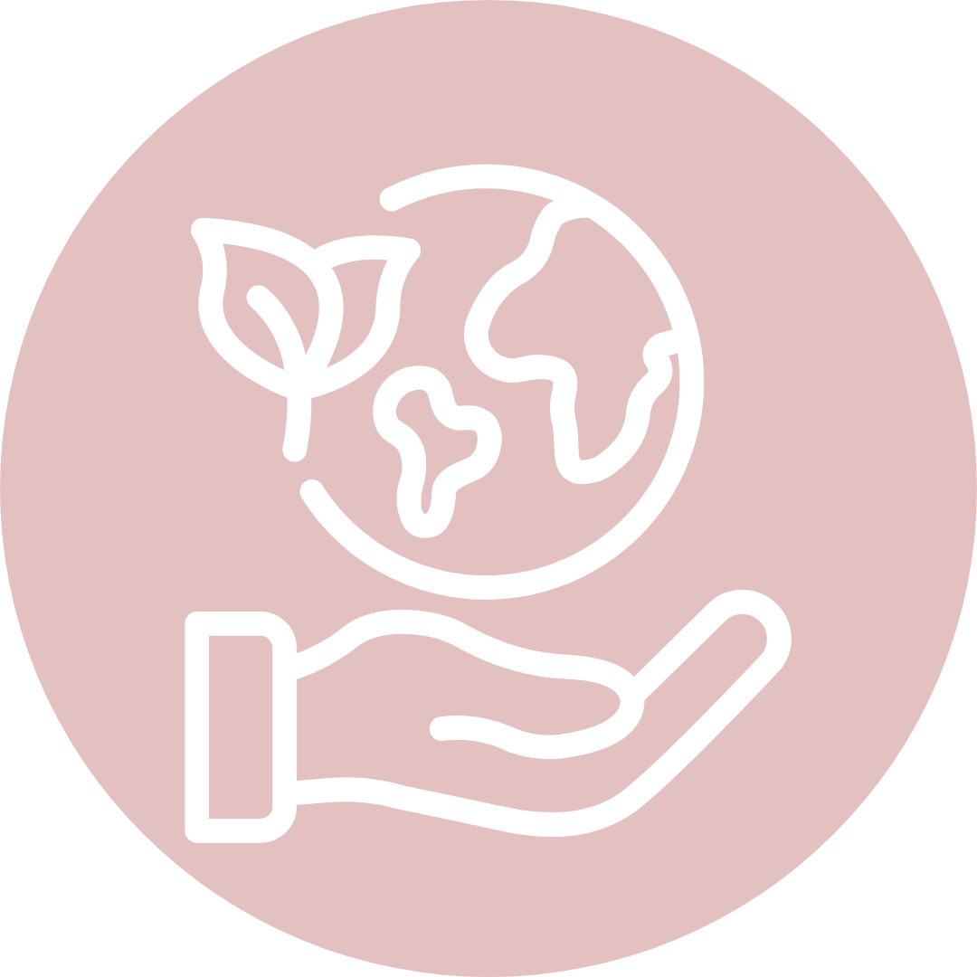 Icon of a hand holding a globe with a leaf.