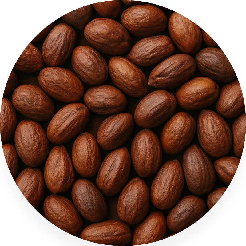 Close-up of numerous brown seeds with a smooth texture.