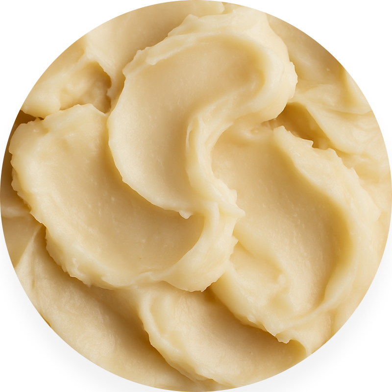 Close-up of smooth, creamy mashed potatoes in a circular shape.