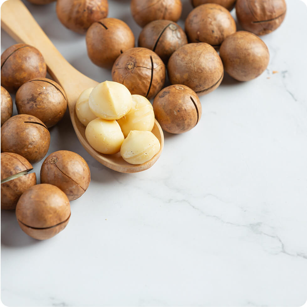 Spoon of macadamia nuts surrounded by unshelled macadamias on marble surface.