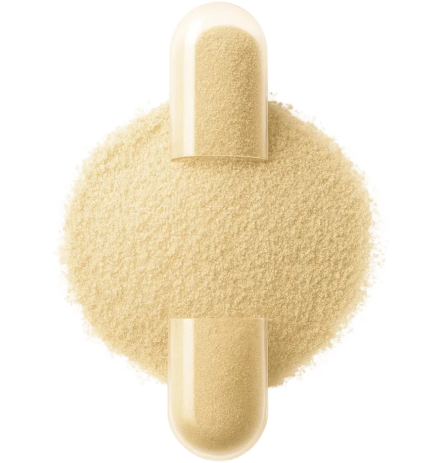 Beige powder surrounded by two empty capsules.
