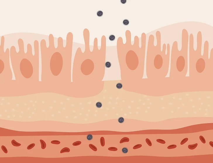 Illustrated cross-section of skin layers with hair follicles and cells.