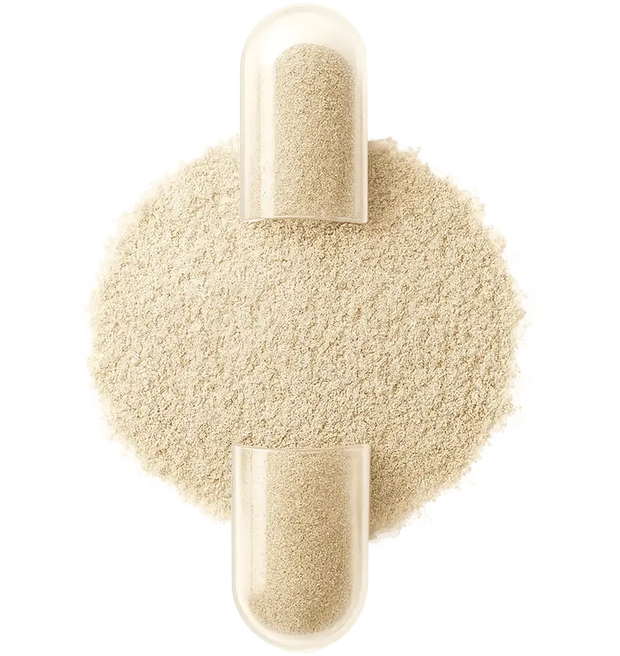 Powdered substance with two capsule halves, one upright, one inverted.