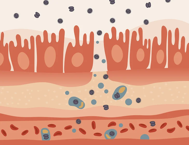 Illustration of intestinal villi with particles and cells in layers.