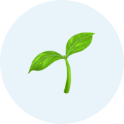 Two green leaves on a small plant against a light blue background.