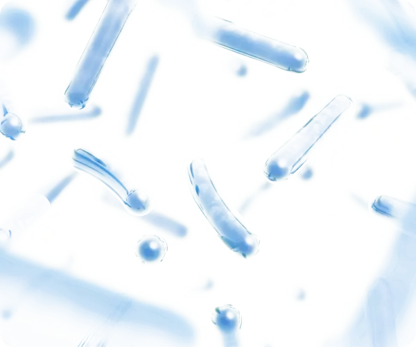 Illustration of blue rod-shaped bacteria on a white background.