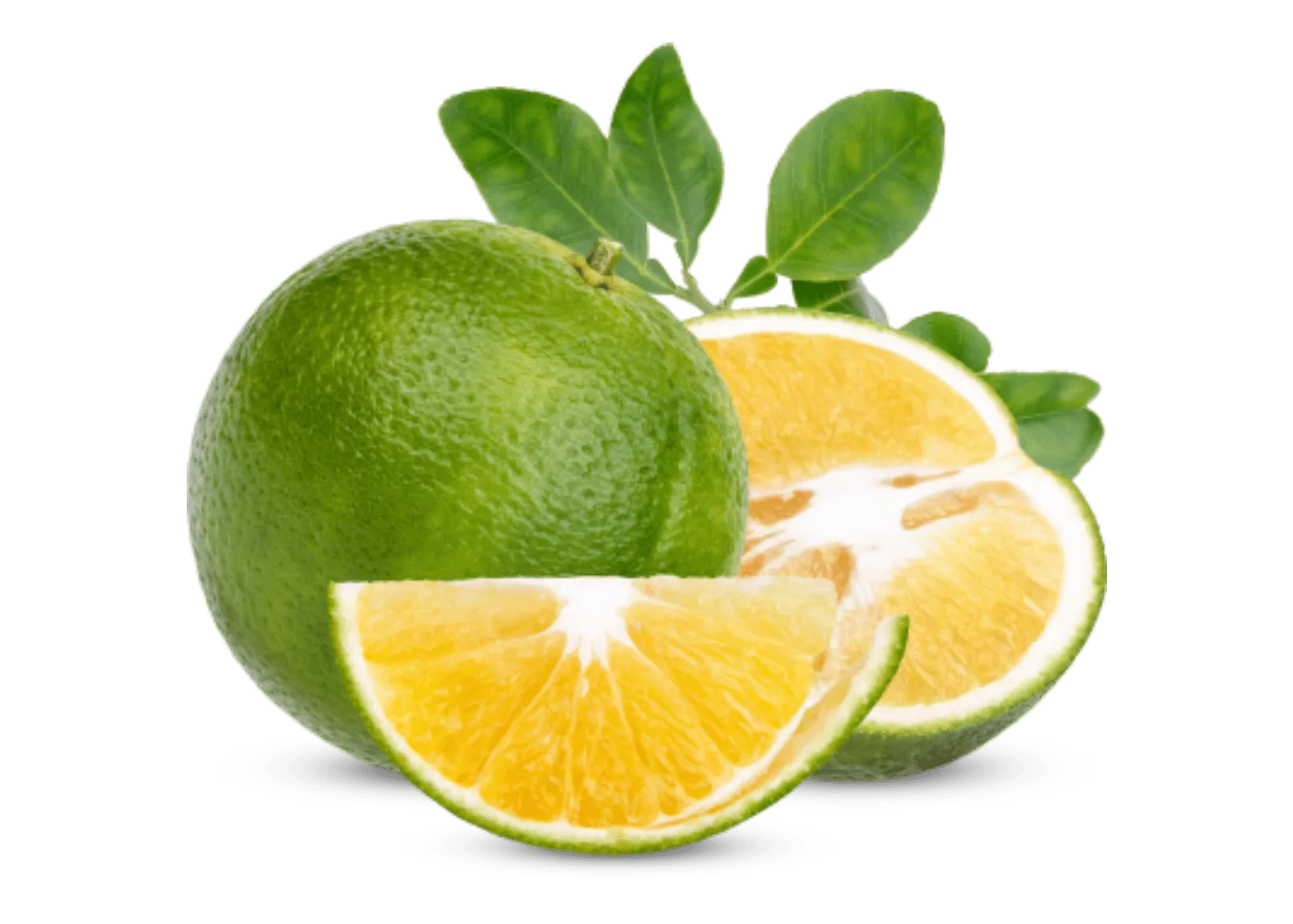 A whole green lime with sliced lime halves and leaves.