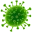 A computer-generated illustration of a green, spherical virus with spikes against a white background.